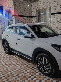 فول موصفات • ٢٠١٩ • رقم اربيل