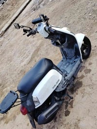 دراجه بوليس • كفاله عامه • بابل سكندريه