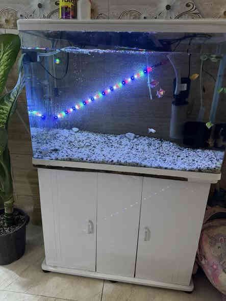 تخم تفصال قماش وتر بروف سعره ٦٠٠
حوض سمك قياسه ٨٠.  سعره ١٠٠
 
للاستفسار على الرقم 
***********
