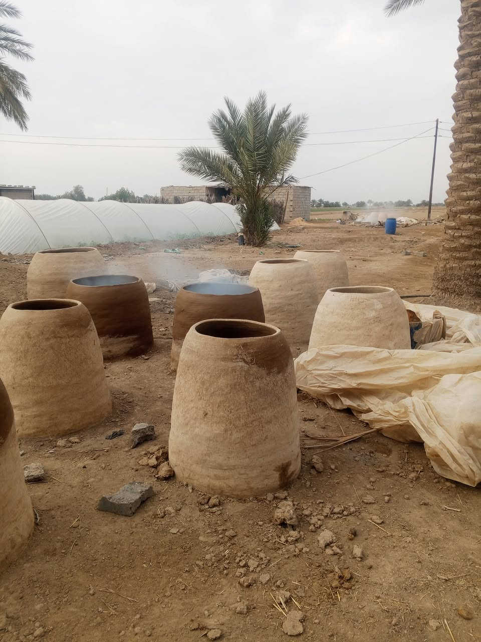 تنانير  درجة أولا  طين حري سعر(15) ثابت عنوان جبله فرع لامام
رقم ***********
