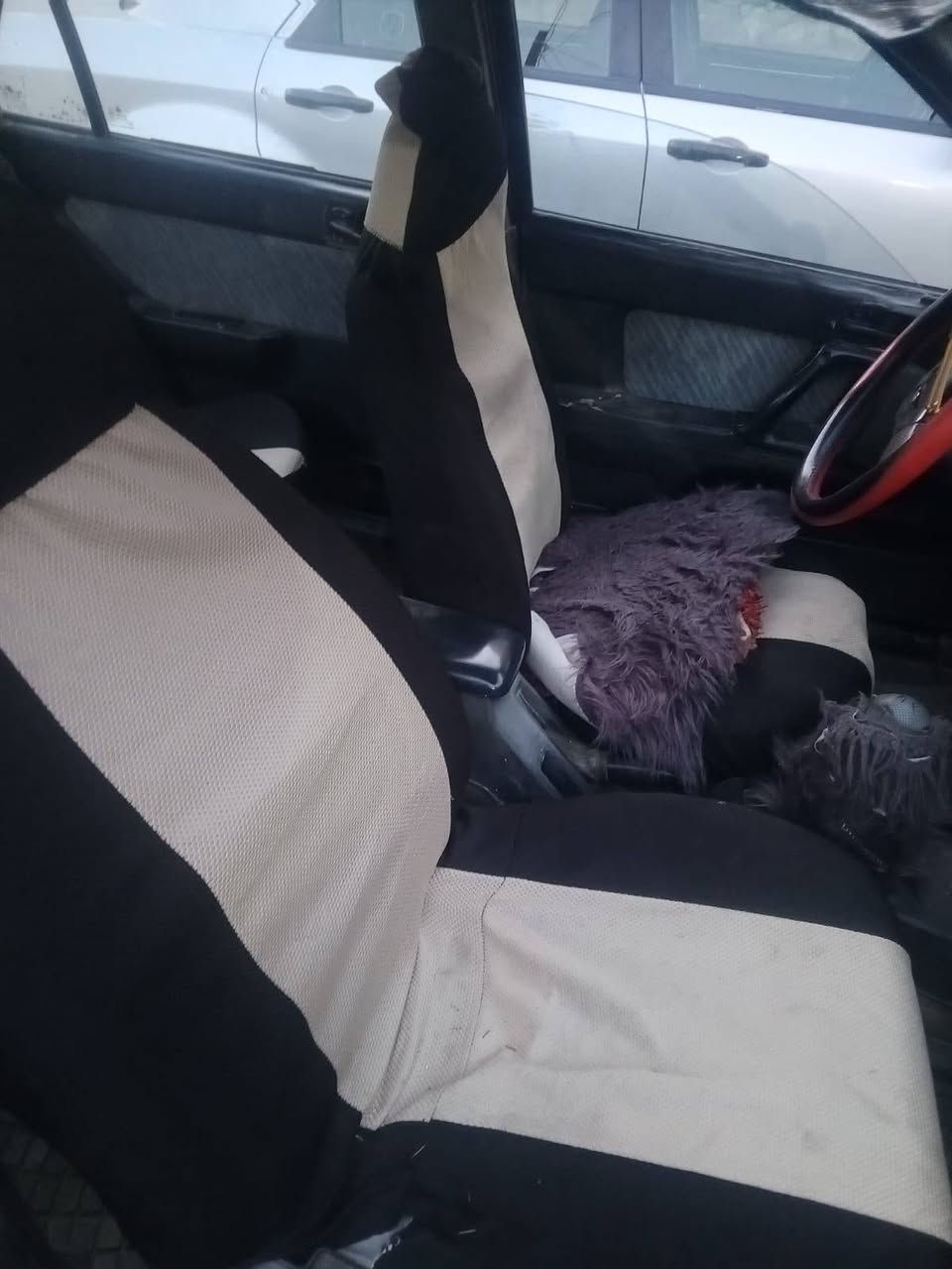 السلام عليكم ورحمه الله وبركاته سياره للبيع النترا موديل 93كير عادي محرك مكفول سياره معمره وحلوه مثل ما موظح بصورة السعر 32بيه مجال


**إذا كنت صاحب هذا الإعلان وتريد حذفه لأي سبب، رجاءا أرسل رسالة إلى الدعم الفني**