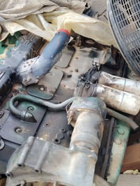 راس توليد ستامفورد • مشتغل ٥ أيام • السماوه الخضر