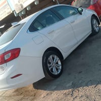 كروز • ٢٠١٩ • رقم بغداد