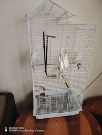 قفص طيور • ببغاء/كوكاتيل • كركوك