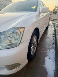 شاصي 80 • شاهينه • جنطه