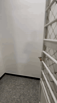 متوفر شقه للايجار تحتوي على غرفتين نوم وستقبال ومطبخ وخدمات موقعه الدوره كفائات الصحه المخابرات
***********
