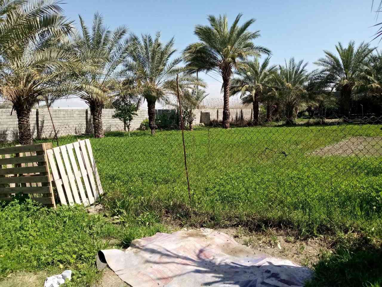 السلام عليكم يوجد ارض طابو سند 25 بغداد التاجي قرب المصابيح يوجد فيها كافت الخدمات تلاثة دونم ونص فيهآ سبع بيوت للبيع الاستفسار الاتصال على رقام ***********
