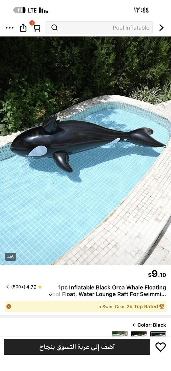 ع اول تم ١٥ ألف مع توصيل


**إذا كنت صاحب هذا الإعلان وتريد حذفه لأي سبب، رجاءا أرسل رسالة إلى الدعم الفني**