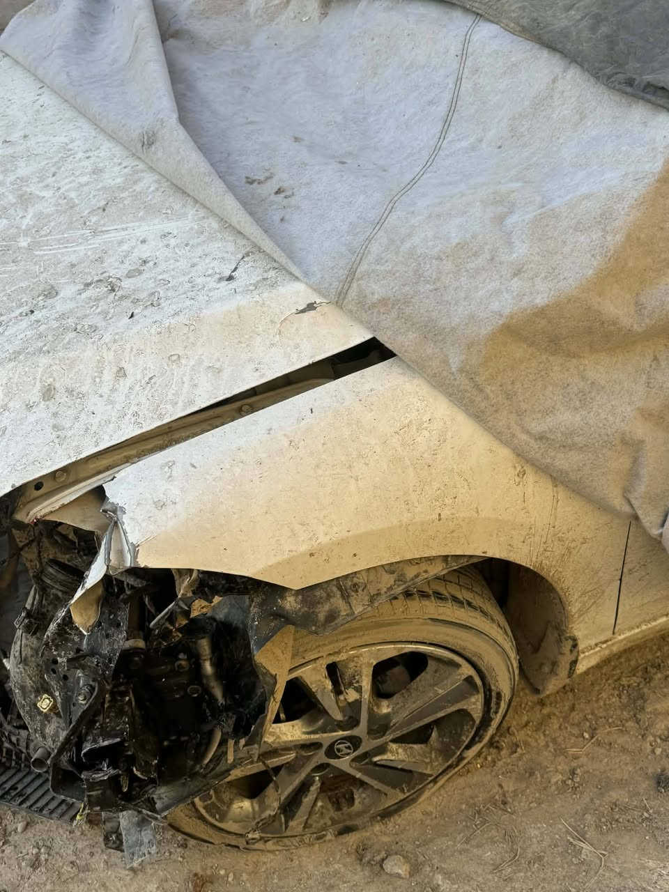 السلام عليكم النترا 2018 فول مواصفات مكفوله كفاله عامه سابقا رقمها بابل سنويه اسمي  ابيع على حادثها السياره مضروبه حادث بس مامكلوبه يعني قماره وجام وتكم سليمات كير ومكينه شغالات بس اني ابيعلك كوم حديد هاي السياره على حادثها ابيعها للاستفسار عن السعر
*********** اتصل

مكلف بالنشر
