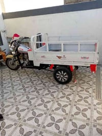 ستوته ٢٠٠٩ • القاسم • رقم أبيض