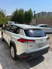 فروتلاندر ٢٠٢٥ • ٨٠٠٠ كم • مراوس بكورلا
