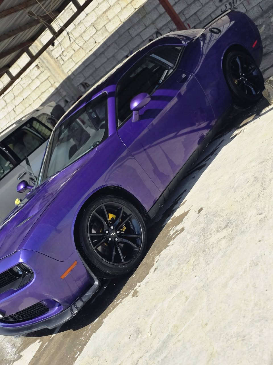 سلام عليكم ورحمه الله وبركاته اخواني
بيع مستعجل ....جوه سوك الي تخدمه الف عافيه والي متخدمه 
جوه رجليه جالنجر 18 بنفسجي جي تي 
رقم كربلاء مداور شوكت متريد 
تعبان عليها مكاني سماوه سعر 140بي مجال  تصل ودلل ***********
