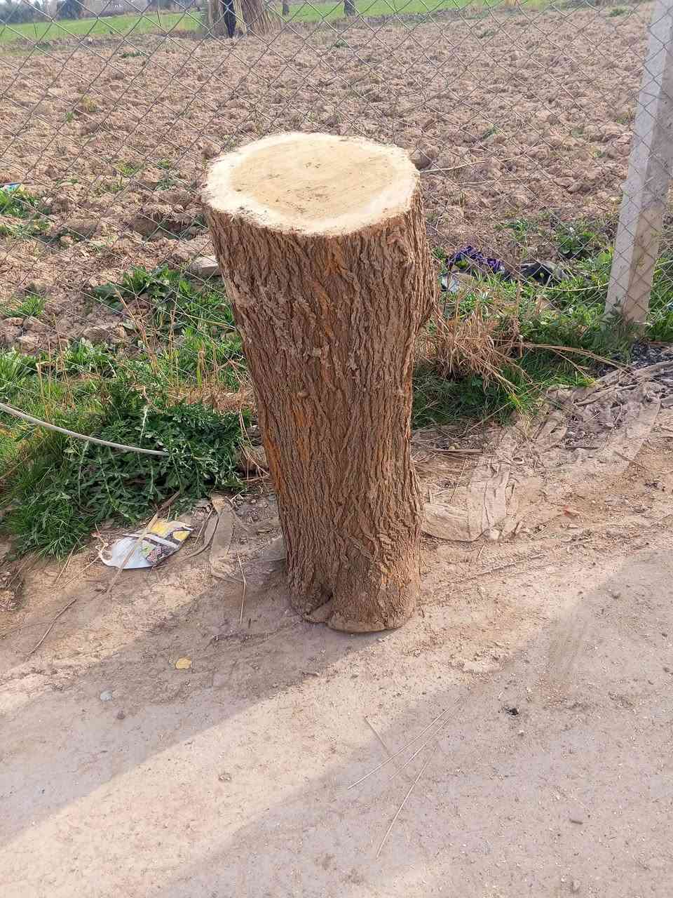 خشبة توث مال كصابة العرض 40×40مكان بعقوبة 0771186047


**إذا كنت صاحب هذا الإعلان وتريد حذفه لأي سبب، رجاءا أرسل رسالة إلى الدعم الفني**