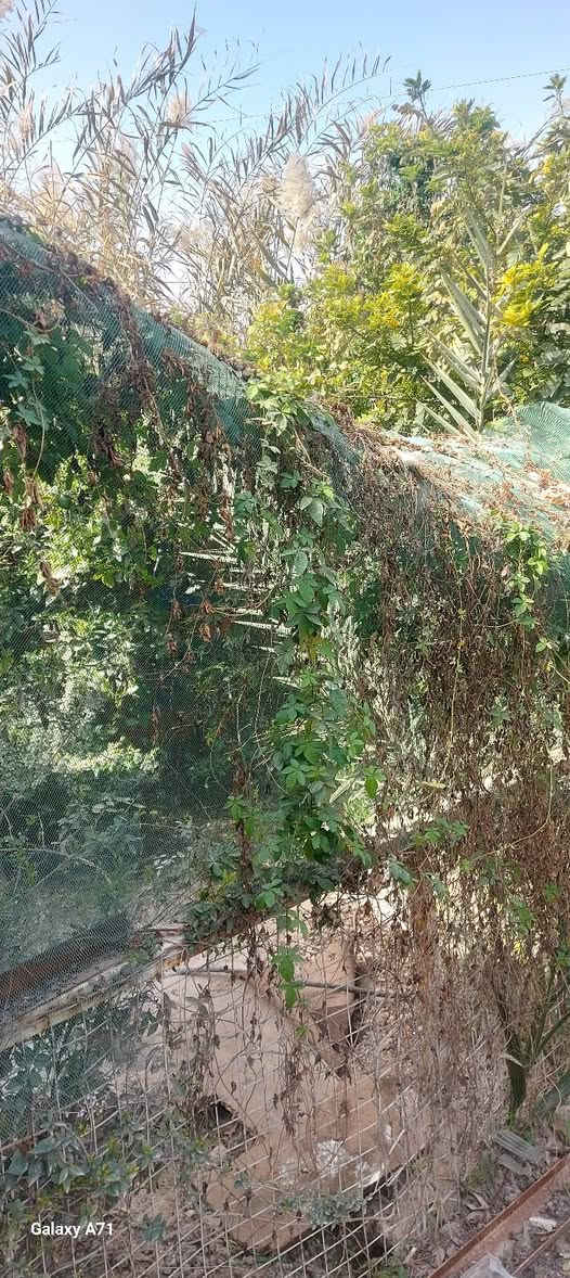 السلام عليكم ورحمة الله وبركاته دار للبيع ( تجاوز ) الفرع الاخير من ابو عظام
ركن مجاورة لبيت حجي علي فرحان ( سابقا ) تتالف من غرفتين نوم وصاله ومطبخ واستقبال وحديقه منزليه وصحيات   . 
الاتصال على الهاتف ( ***********)
