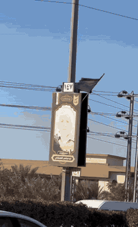 قطعة ارض 100 متر طابو زراعي سند 25 
كربلاء المقدسة طريق بغداد كربلاء عمود147 داخل مجمع السيدة رقية قرب مدينة سيد الاوصياء 
للاستفسار الاتصال على الرقم 
***********
