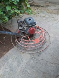 كبتر • انثى • ليلان