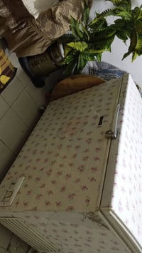 فريزر • كبيرة • تجميد فول