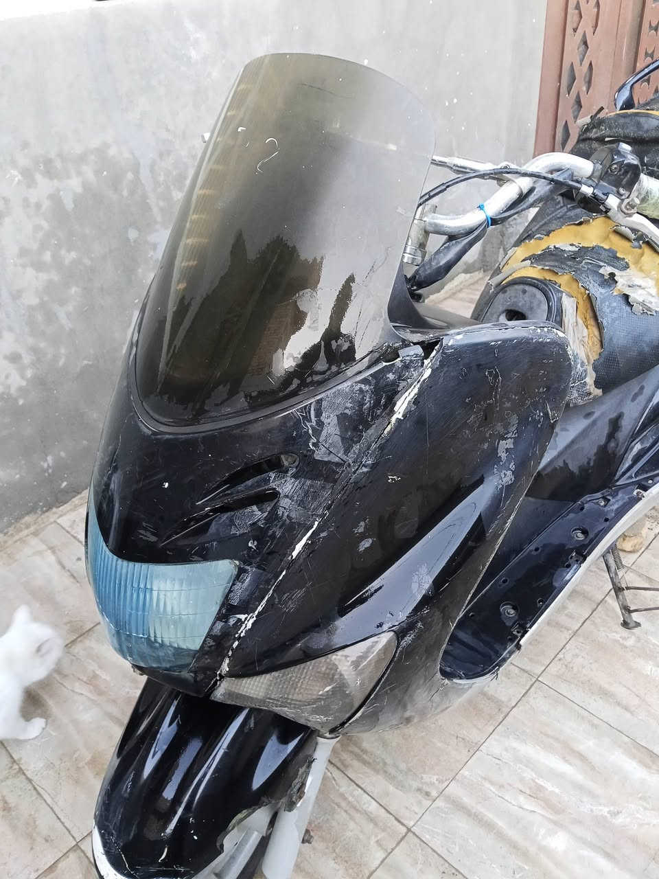 دراجة فرخ ماجسته للبيع كايمه للتواصل ***********
