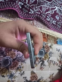 بي فطر بل شاشه صغير