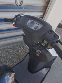 فراشة حاوية • مكفولة • بابل الهاشمية