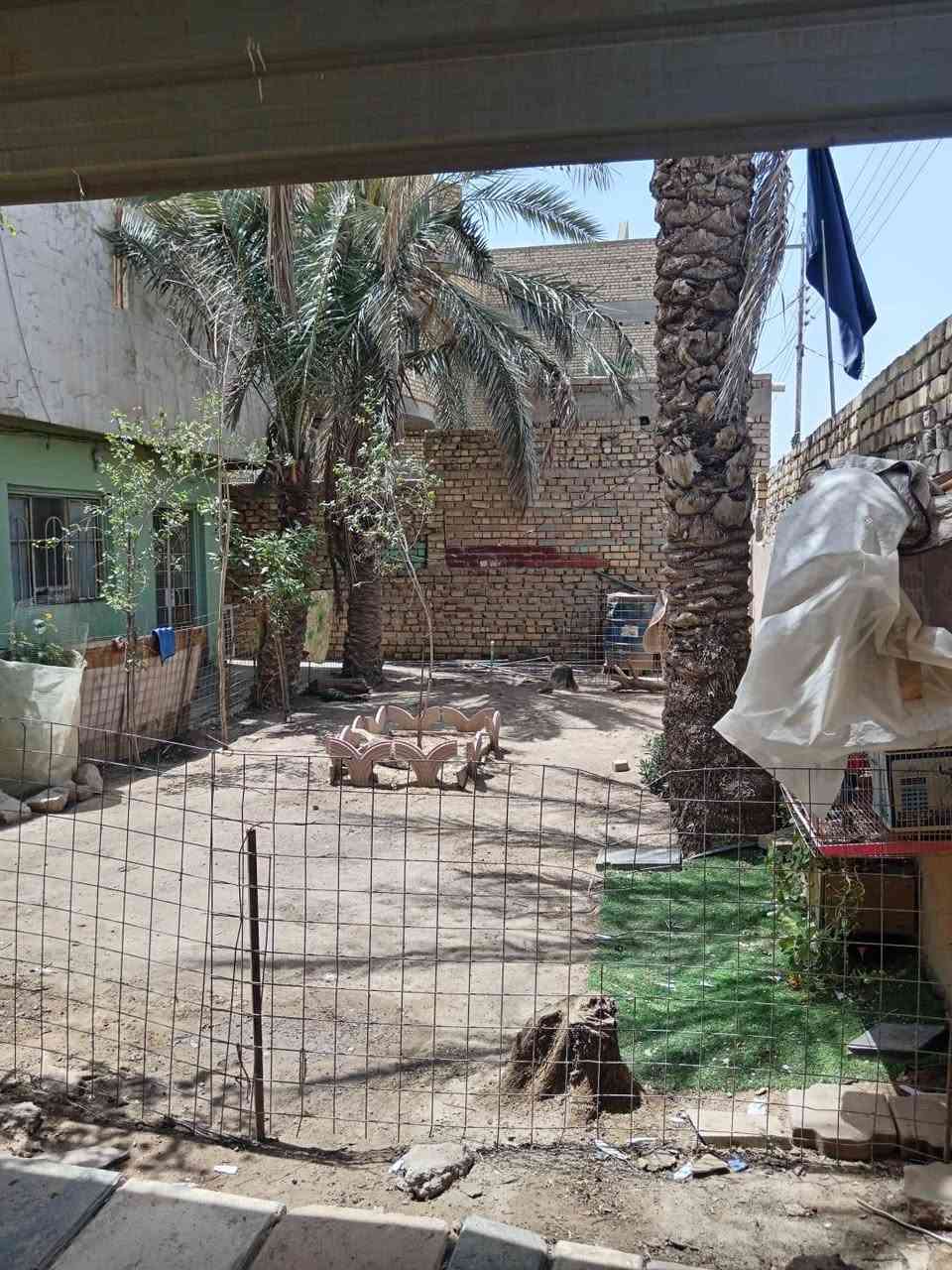 السلام عليكم. دار للبيع في الشطره شارع الاطباء على الشارع مباشرة يصلح مركز تجاري او سكن المساحه 300متر البيت طابو صرف اربع غرف نوم صيحات داخليه او خارجيه استقبال حديقه كبيره مناور للستفسار الاتصال على الرقم ***********
