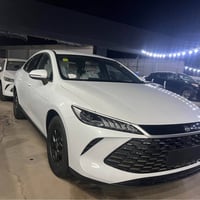 كوين پلاس • اصفر • اربيل