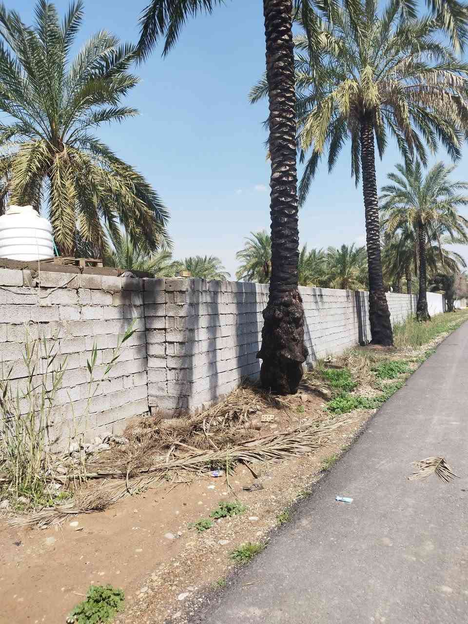 سلام عليكم يوجد دونمين ونص طابو ملك صرف المكان المدائن جسرديالى التويثة 
الاستفسار الاتصال ***********
