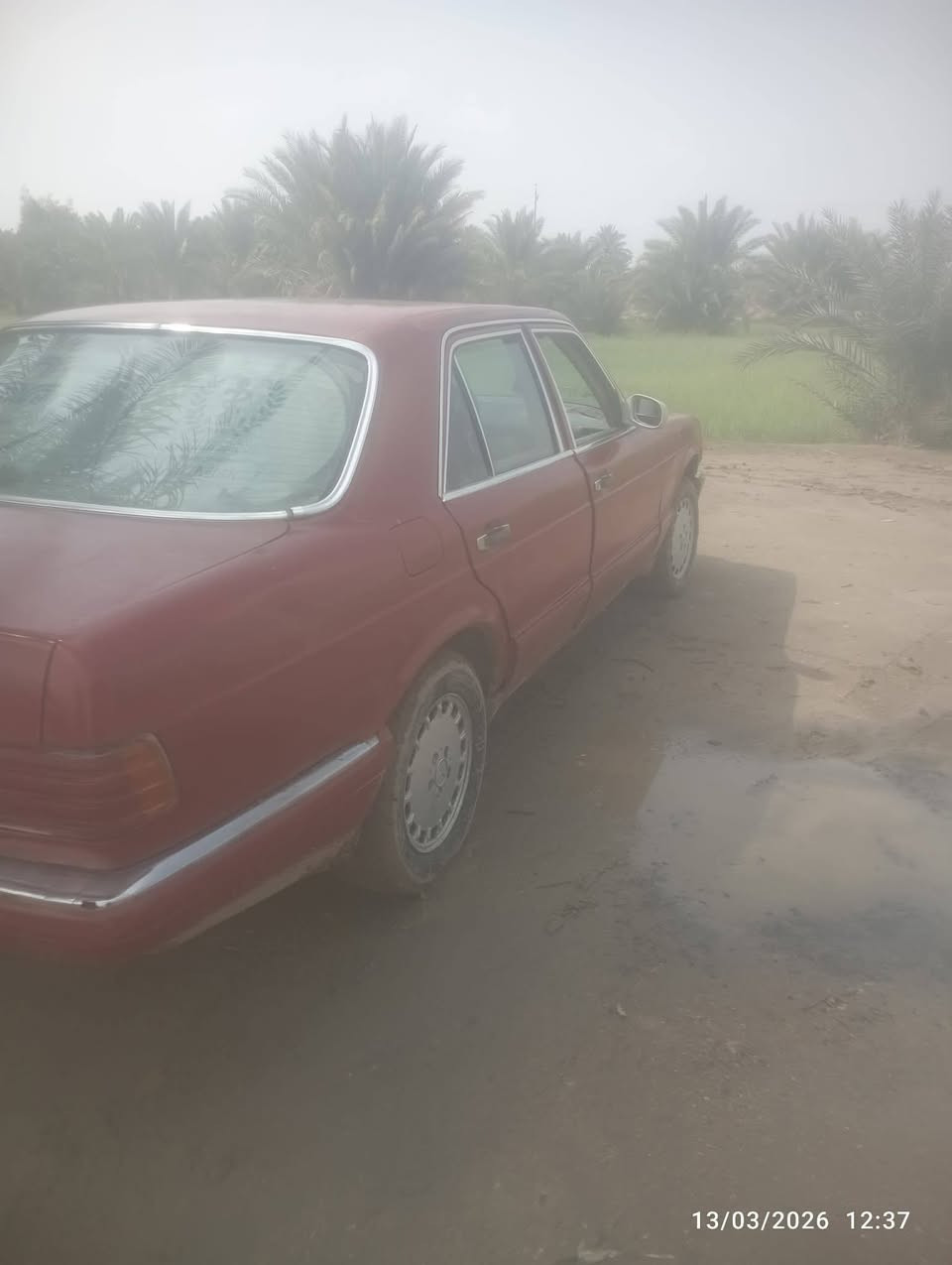 للبيع مرسيدس جامبو 1983  مكينه و كير بطه 2 ونص
سياره   سنويه بيه و ارقام راعيها ما اندله سعر10و بيها مجال مكان السياره السماوه سوير لل استفسار  ***********
