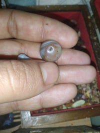 خرزات قديمة • سليماني • عقد