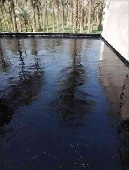 تعلن سكله المنكوشي البيع الكير الدرجه الاولى في محافظة كربلاء اتصال على رقام تاليه 📞*********** /***********
