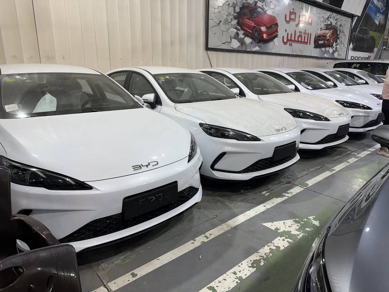 كل عام وانتم بالف عائلة BYD سنه سعيده انشالله

عروووووض خاصه واسعار تنافسيه 🔥🔥

🚗 اشترِ الـ BYD من الثقلين وخلي راسك بارد

جودة، ثقة، وأسعار تنافسية ✨
نخدمك بخيارات مضمونة ومعاملة تليق بثقتك.

📞 للاستفسار والتواصل:

***********

***********

📍 العنوان:
معارض البياع – شارع الوسط معرض الثقلين
