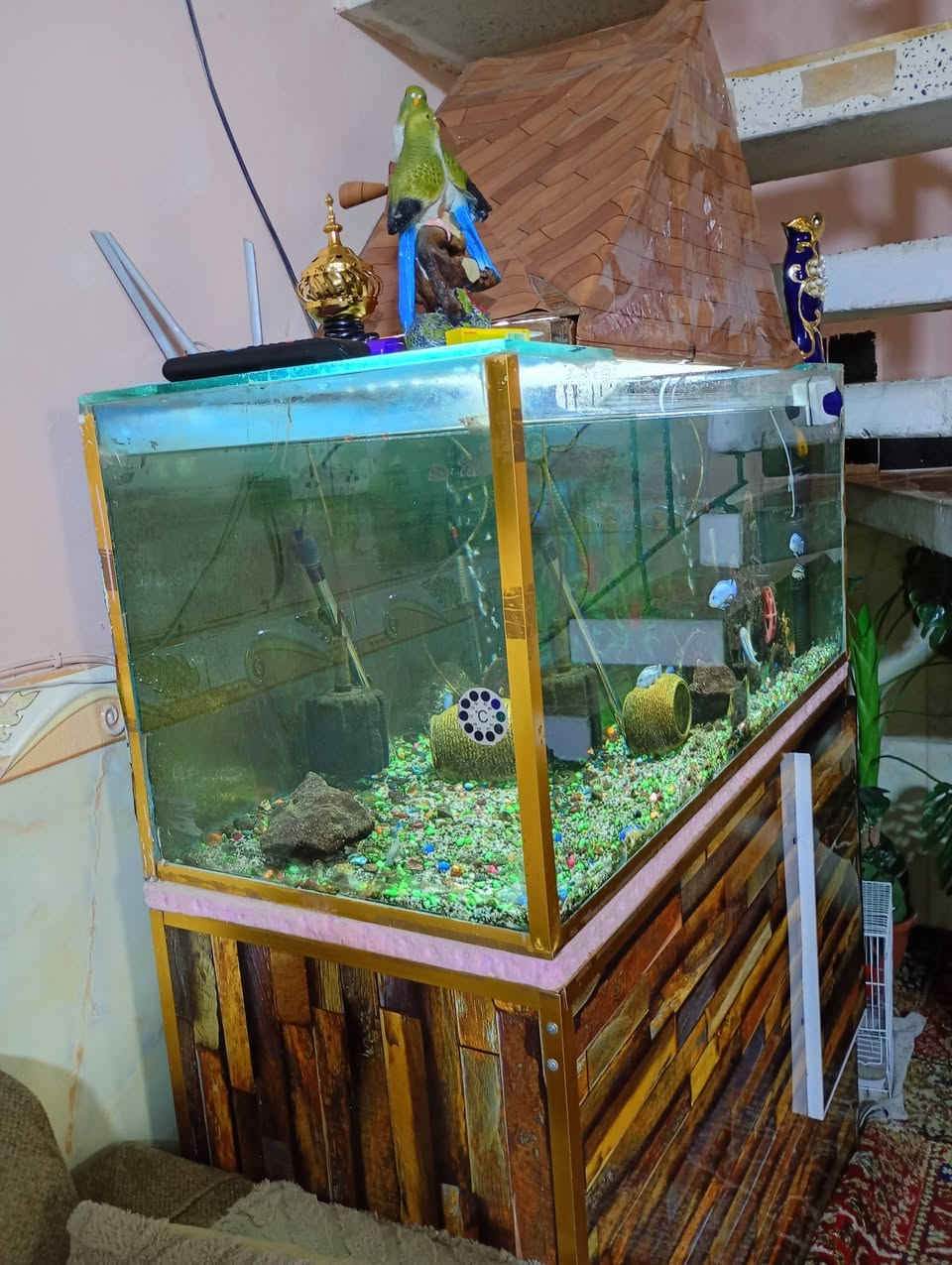 السلام عليكم حوض أسماك زينه للبيع مع كافة ملحقاتة قياس الحوض 120 ونزال 50 جام ابو العشرة السعر 165 الشراي يتصل ***********
