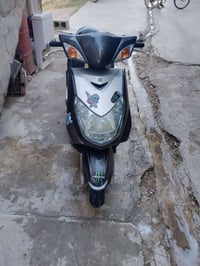 سكنس فحل • ياباني