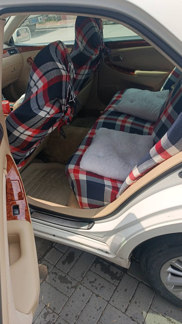 ادمين ❤️
بةناؤي خؤاي كةؤرة شاهينة براؤة برااؤة مؤديل 2005 سؤيجة  التؤني بازار بةجؤك بة بةجؤك نرخ 49 ومعاملة بةصمة نةية ناؤ زةرد دؤ دؤكمية كؤدي بؤ كةراؤة بةشرتي كؤد جؤار تاية تازة هايدرؤليكي تازة كؤراؤة رؤني تازةة كؤراؤة كةيري مةكيني بةشرتة تةقة رةقة بةشرت سيارةكة هةين مالا دارؤ بةردي بةشرت شؤين سليماني ژم. ***********
