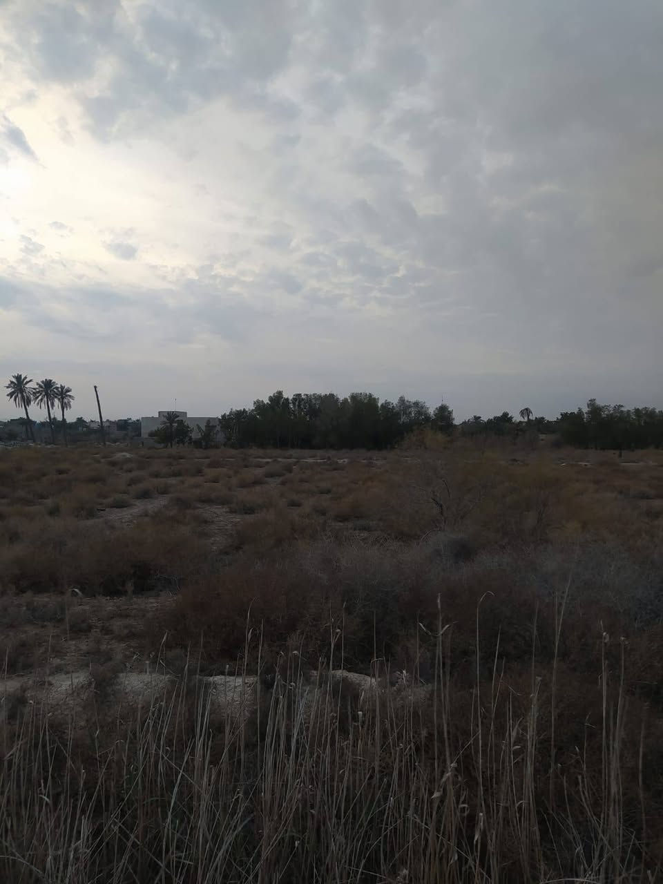 #اسعد_الله_اوقاتكم_بكل_خير⁉️👋

أرض للبيع 

#المساحة::11دونم 

#العنوان:: البصرة أبو الخصيب منطقة حمدان قرب جامع المعاريف 

#جنس_العقار::طابو مالك صرف زراعي تحويل 

شارع 12متر 
جميع الخدمات متوفرة ماء كهرباء مدارس نت كلشي قريب على 
#السعر((دونم الواحد 310مليون))
#اللاستفسار:: إلا تصال على الهاتف ☎️📞 
☎️((***********))☎️
