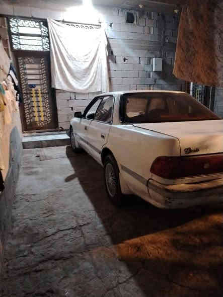 سلام عليكم مارك كصيف للبيع مكفوله كص ونغل***********
السعر 33 
مكاني بصره ابو الخصيب
