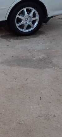 ويل كب • حجم ١٦ • نجف