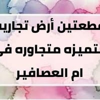 بداية أم ألعصافير • ٦٣٠م • ثلاث شوارع