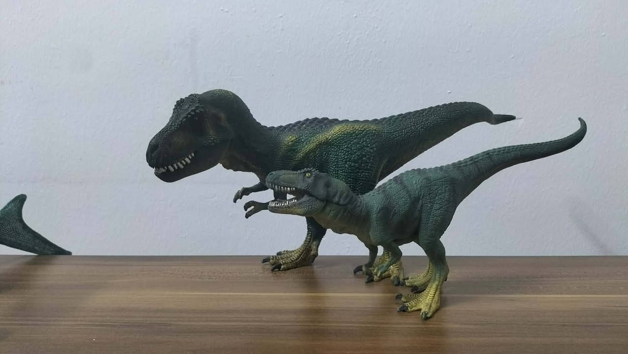 متوفر داينصورات شلايش
توصيل موجود كافة المحافظات


**إذا كنت صاحب هذا الإعلان وتريد حذفه لأي سبب، رجاءا أرسل رسالة إلى الدعم الفني**