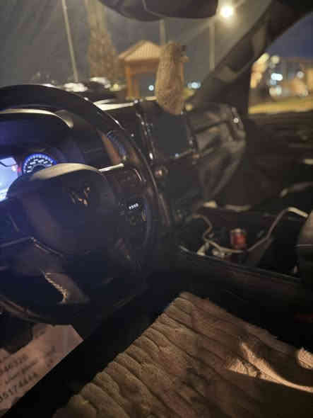 رام لمتيد ٢٠٢٢
فول  مواصفات 

جكات 5 ارتفاعات 

رادارات بانوراما دتفئه تبريد كشنات 

٤ انضمه دفع رباعي  السياره فوول  الفول  

وارد امريكي  كلين اي ضربه صبغ مابيه 

سياره ماشيه 55 الف رقم اربيل  

السياره فول  نضافه

السعر ٤٢,٥٠٠ $

للاستفسار:

***********
