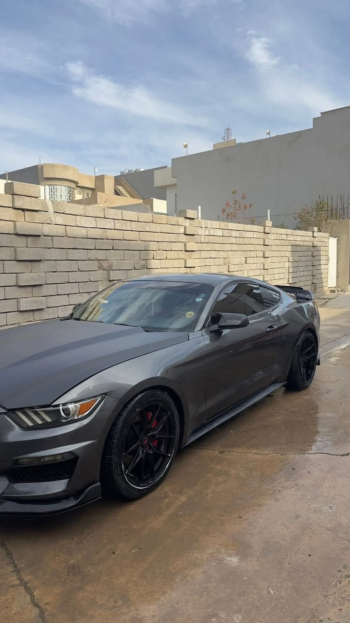 موستنك 2016 ستة سلندر V6
بدون اي نقص بدلت بلكات اصلي نوزات دسكات فيت بم كامله سياره 

كير مكينة اكسل كفالة

السيارة حادث امريكا جاملغ وبنيد  +بيهة مكانات صبغ ابيع حزام ماعده صندوك وسكف

بدون شواصي 

فقط بيها لغد واحد على جهه السايق

بيه اضافات وتعديلات

•  دعامية شيلبي•

•  جنح شيلبي

-دفيوزر

-دوس

-لحية

-كفرات مري باتمان

-دواخل السيارة تغطيس

- داخل السياره احمر 

رقم اربيل تحويل او وكالة وناصبه و احلى من الصور  

السعر 138 ورقة

 مكاني موصل 

***********
