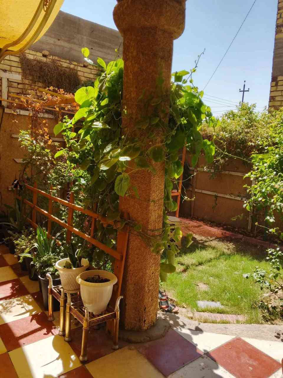 للبيع دار سكن طابقين بناء طابوق 🏢 مساحة 300م واجهة 20م شارع 8م ويبعد عن الشارع العام 15م سند زراعي 25 تحويل مباشر يتكون من ثلاثة غرف نوم واستقبال وكلدور ومطبخ ومجمع صحيات عدد 3 وحديقة وخدمات كاملة ،
الحله ورديه داخل الطريق المؤدي الى مرقد السيد موسى ع وبالقرب من 🏫 مدرسة مالك الأشتر الابتدائية.
للأستفسار مراجعة مكتب أهالي بابل للعقارات أو الاتصال بنا على الرقم/ *********** خاص واتس متوفر .
