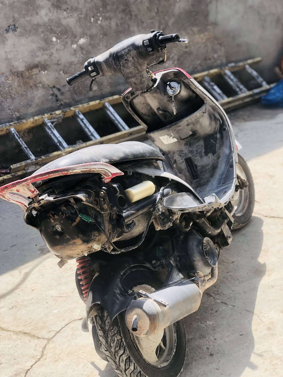 سلام عليكم ماكس منغولي كفرات كامله موجدات مكينه خرسه لسعر 325وبيه مجال قليل مكاني جسر الطهمازيه رقمي ***********
