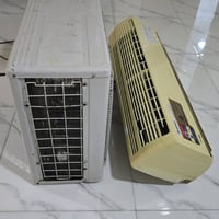 سبلت • دنكا • شغال