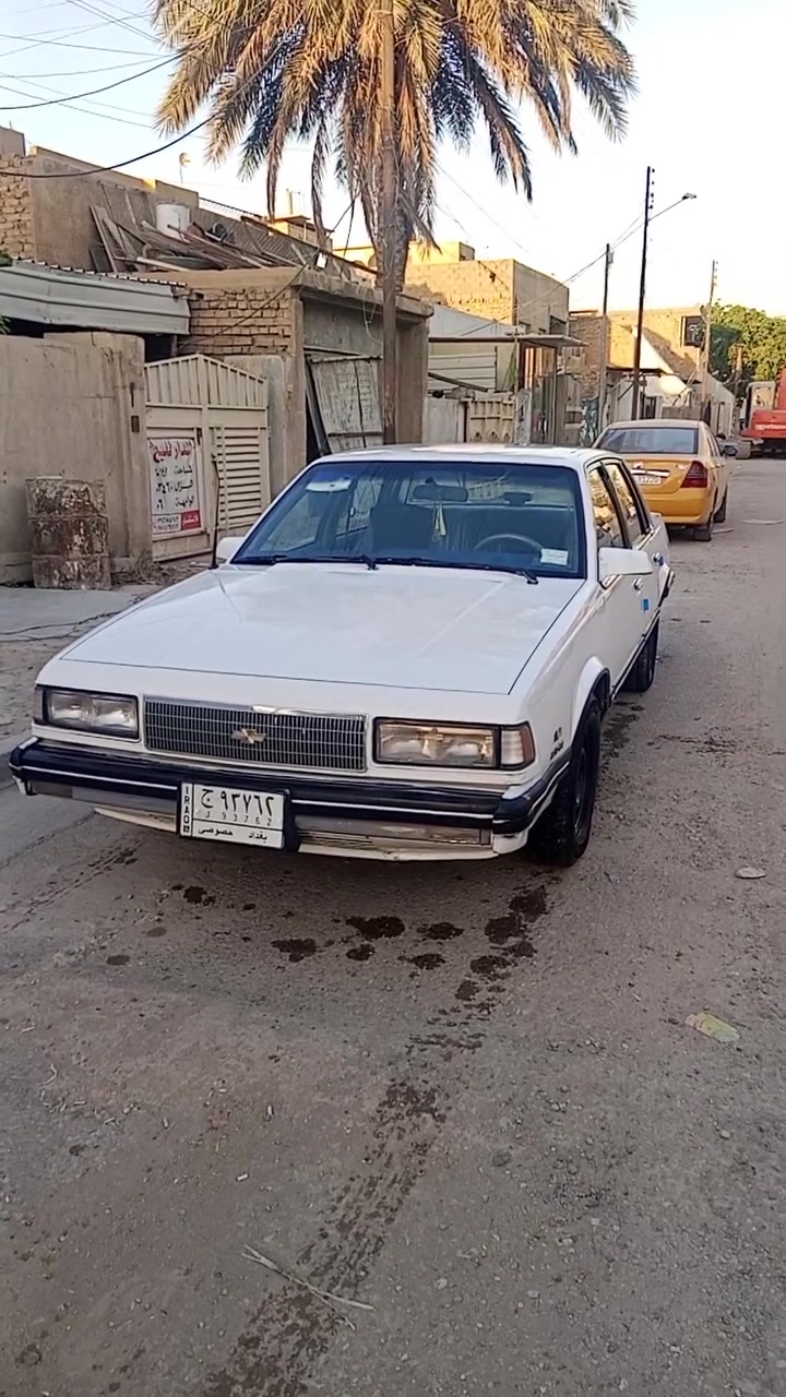 السلام عليكم اخوان الشراي يجي يشتري سلبرتي التفاصيل بافديو ***********
