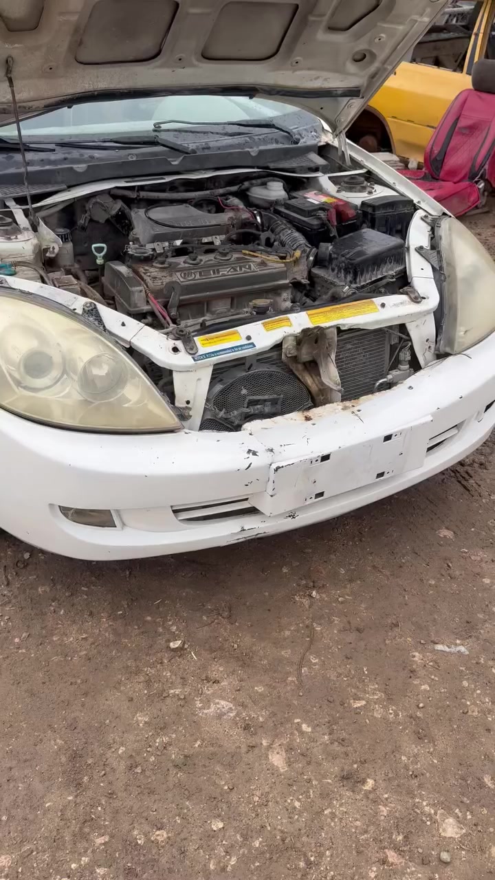 كراج تفصيخ السيارات القديمة

تفصيخ  ليفان حجم ٥٢٠ مكينه وكير  جديده   اتصل   علئ الارقام

العنوان بابل  طريق النجف مقابل ألإمام بكر (ع)مجاور شركه نيسان 

 

***********رقم / سعد ابو زينب
