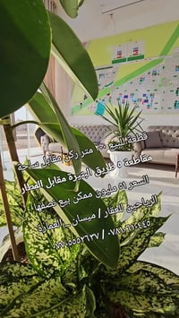 ميسان العمارة • ٢٠٠م • طابو صرف