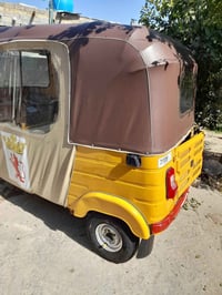 تكتك • موديل ٢٠٢٠ • نفاذ سنوية ٢٠٣٠