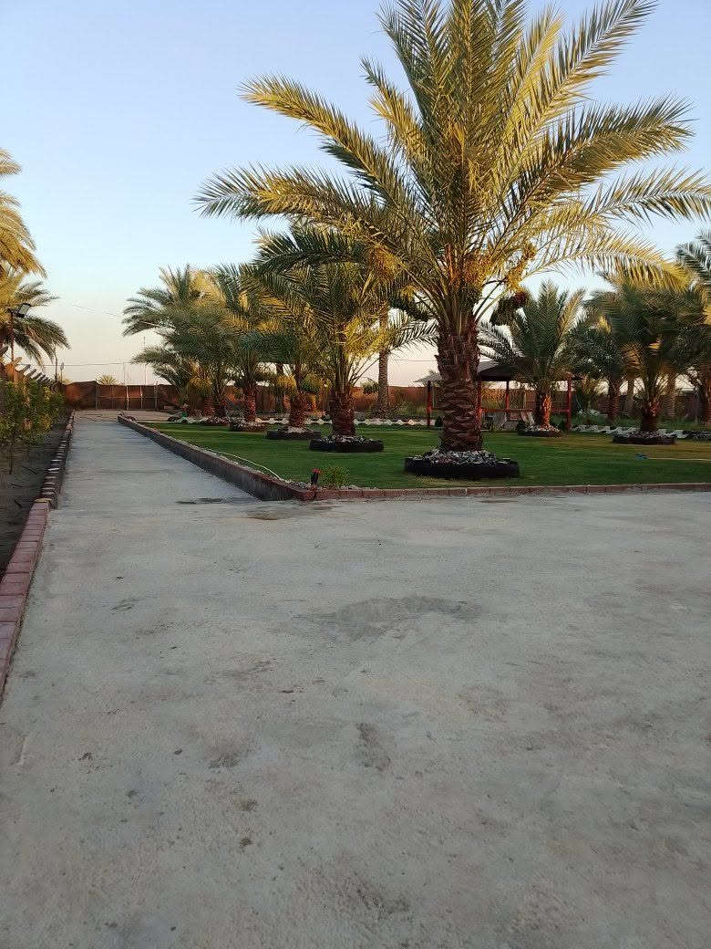 يوجد لدينا دونم للبيع طابو زراعي سند 25 المكان بابل شارع الامام بكر عليه السلام شارع الخدمي مال الكفل الاستفسار ***********
