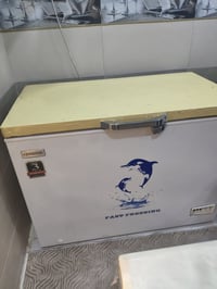 مجمدة • جديدة • حجم جبير